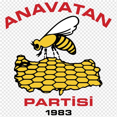 Anavatan Halı ve Koltuk Yıkama