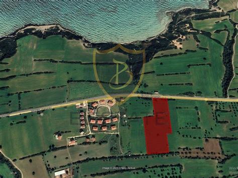 Anayol Halı ve Koltuk Yıkama