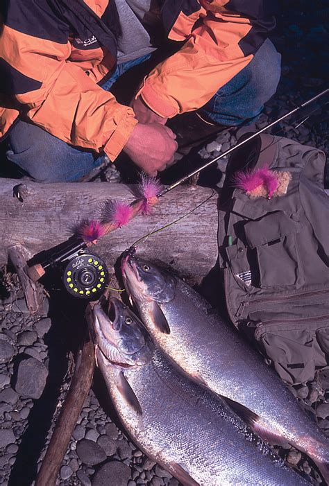 Anchorage Area Fishing Fish Anchorage, Alaska