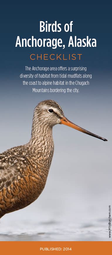 Anchorage Birding Guide Anchorage Audubon Society