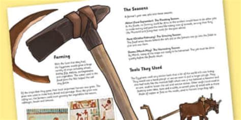 Ancient Egyptian farming tools history wiki - Twinkl