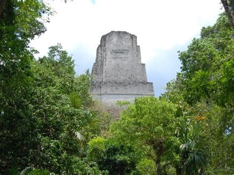 Ancient Maya built sophisticated water filters - uc.edu