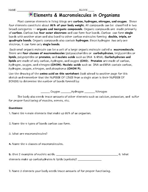 And Macromolecules In Organisms Elements Packet Answers