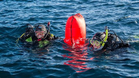And Reviews Search Recovery Knowledge Diver Answers