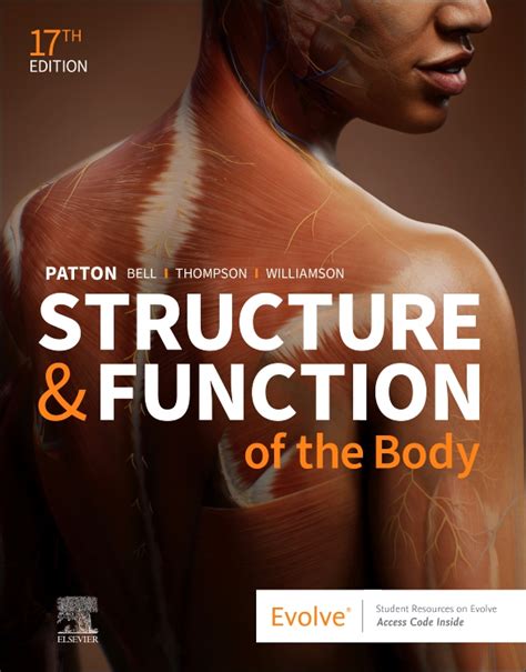 And Structure Function 11th Body Edition