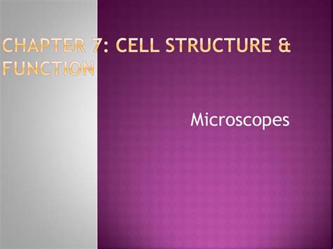 And Structure Function Cell 7 Chapter