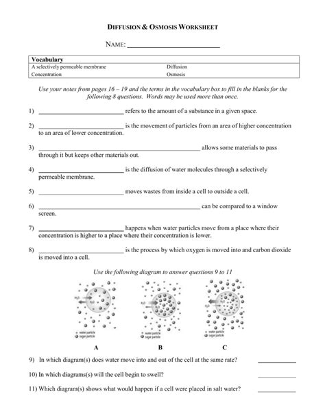 And Transport Worksheet Cell Osmosis Diffusion Answers