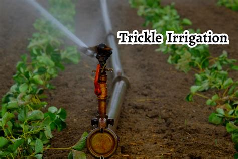 And Trickle Irrigation Sprinkle
