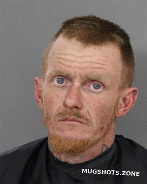 Anderson county jail birds.  Anderson County, SC Mugshots.  Jail Bookings...