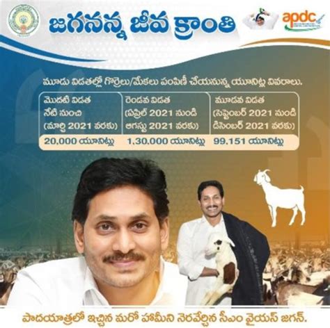 Andhra Pradesh to distribute cattle under YSR Cheyutha scheme