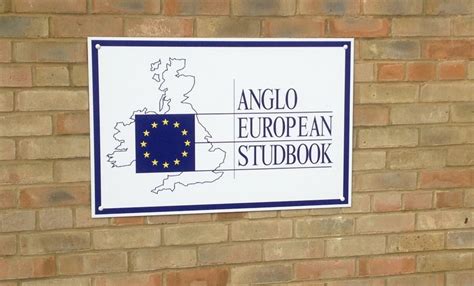 Andre Henry - AES - Anglo European Studbook