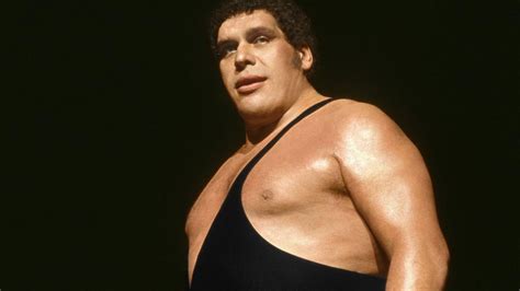 Andre the Giant&rsquo;s greatest moments: WWE Playlist - YouTube
