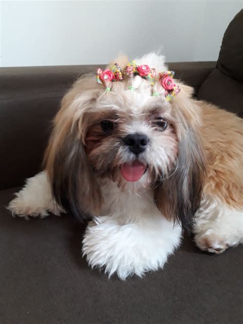 🍌 Andressa Muller Leaks +18 74 Pics