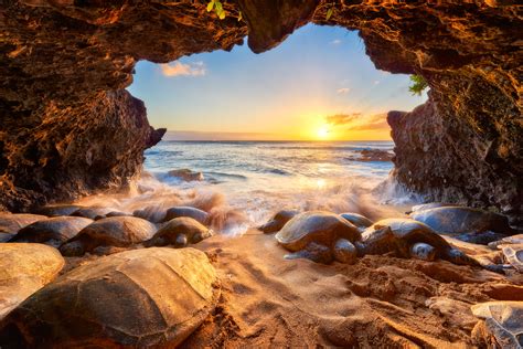 About Andrew. Andrew Shoemaker is a fine art photographer based in Maui, Hawaii. He's world renowned for nature photography of all types including landscapes, beaches, sunsets, forest scenery, international location specific photography and more. . 