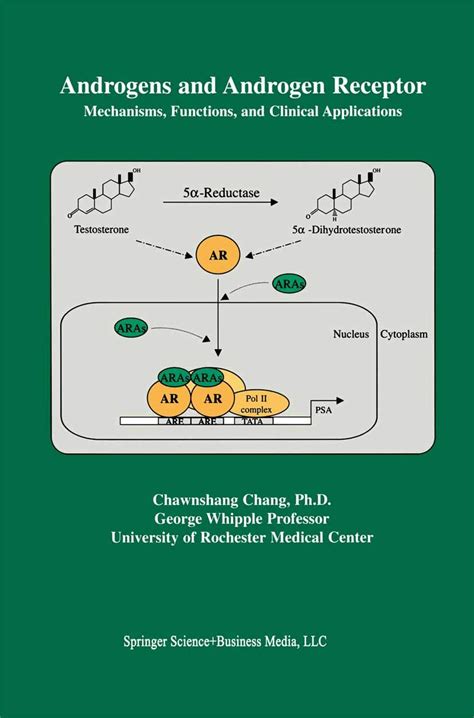 Read Online Androgens And Androgen Receptor Mechanisms Functions And Clini Applications By Chawnshang Chang