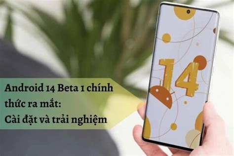 Android 14 Beta 1 chính thức ra mắt: Cài đặt và trải nghiệm