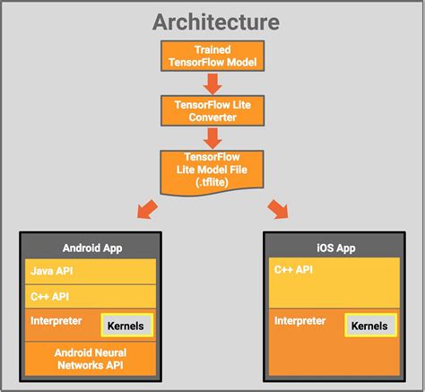 Android TensorFlow Lite interpreter: How to fix "DataType error: …