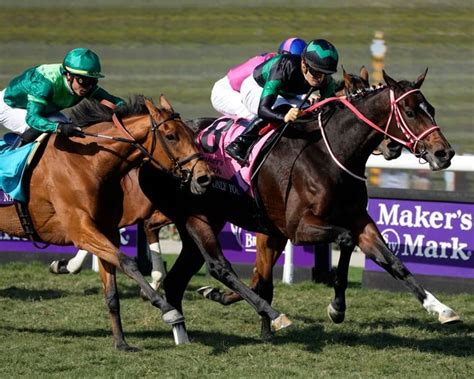 Jun 29, 2022 · By Andy Serling FOX Sports Horse Racing Analyst. When the field, projected at eight, breaks from the gate early Saturday evening for the 154th Belmont Stakes, the biggest question will be whether ... . 