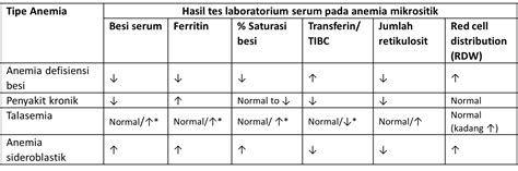 Anemia - Beranisehat