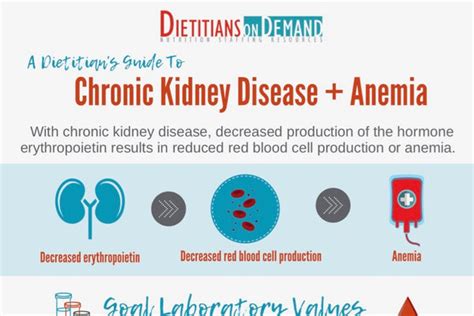 Anemia of Chronic Kidney Disease Educators