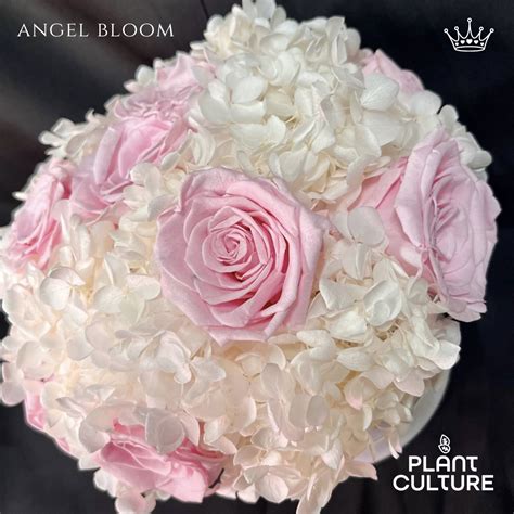Angel Bloom Onlyfans Leaked PORN 🍆 32 Videos