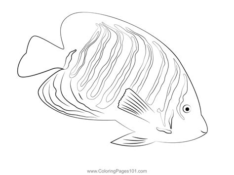 Angel Fish Coloring