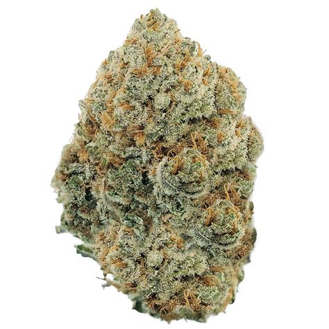 Firstly, the angel cake strain is an even balance hybrid (50% Indica/5