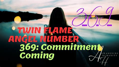 Angel number 369 twin flame. 5) Twin flame reunion number 333. Angel number 333 is a powerful sign for twin flames. It means you two have a purpose together and your purpose is to make the world a better place. As you probably know, most often twin flames have similar career paths and interests. 