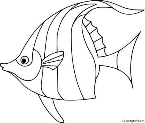 Angelfish Coloring