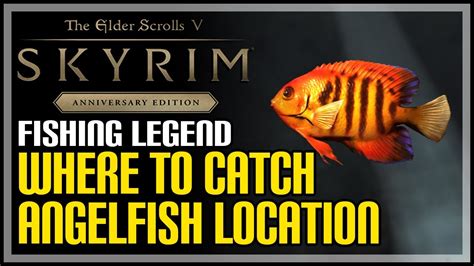 Angelfish skyrim. Caught in The Rain Skyrim Anniversary Edition quest. How to get all Caught in The Rain fishes Skyrim. You can see how to complete Caught in The Rain quest in... 
