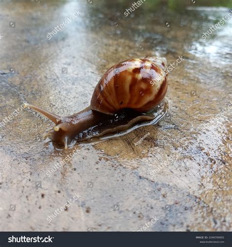 💋 Angelnona Onlyfans Leaked [HD] 225 Photos