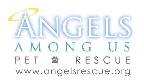 Angels among us pet rescue. Things To Know About Angels among us pet rescue. 