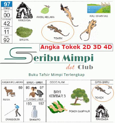 Angka ikut 2d semua pasaran. Alam kadal masuk rumah togel.