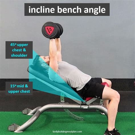 Angle of bench for incline press. 1. Start with a Range: Begin your journey by trying out different incline angles. Start with a low incline (around 15 degrees) and gradually increase it to a steeper incline (around 45 degrees). This range covers the typical … 