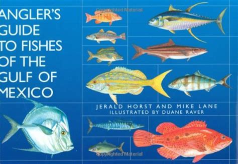 Angler s guide to fishes of the gulf of mexico. - Classroom 911 preschool special needs a manual for new teachers.