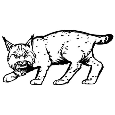 Angry Bobcat Coloring Pages Best Place to Color