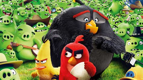 Angry birds çizgi film izle youtube