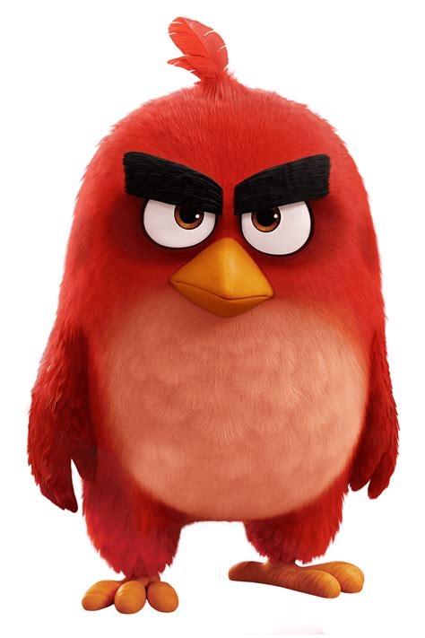 Angry birds angry birds angry birds angry birds. Red J. Bird (commonly known as Red) is a resident of Bird Island and the main character within the Angry Birds film series. Red is a medium-sized red bird with bushy black eyebrows and short red head feathers and black tail feathers. Red is one of the only "angry birds" on Bird Island. He was so fed up with the birds on Bird Island that he moved his … 