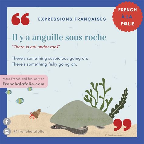 Anguille sous roche