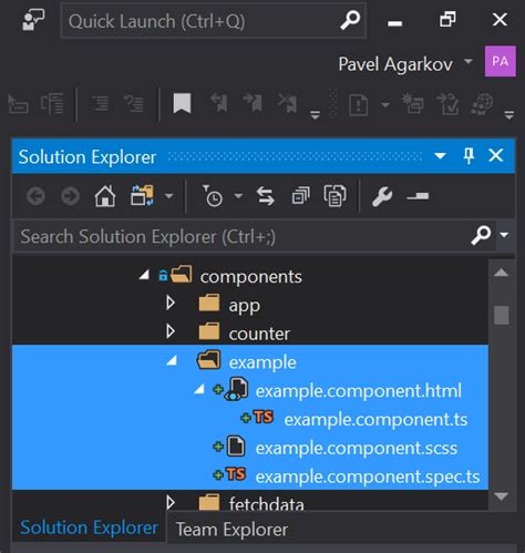 Angular Item Templates Visual Studio Marketplace