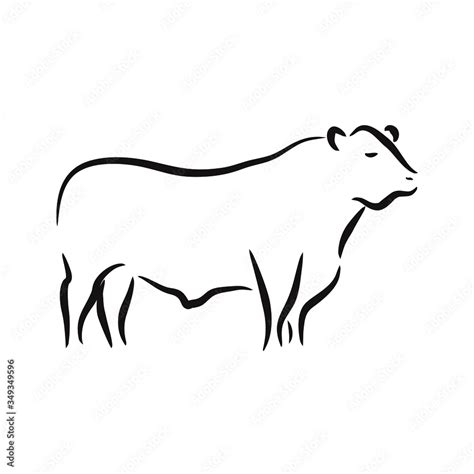 Angus Beef Silhouette Illustrations & Vectors - Dreamstime