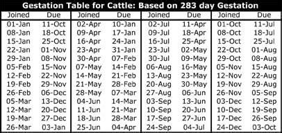Angus Cow Gestation Table Elcho Table