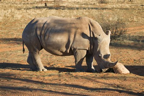 Aniaml porn vids. .  <a href=https://lake-curator-alpha.nexlabs.co.uk/build/xvwcrf/inde...