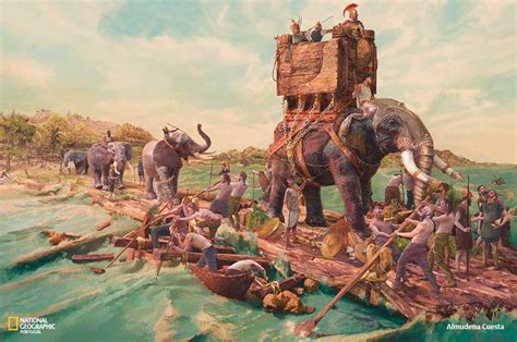 Profile picture of Anibal Runte