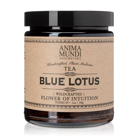 Anima mundi apothecary. COLLAGEN BOOSTER Dirty Rose Chai. Anima Mundi's signature formula containing herbs known for their collagen protecting and boosting effects. Now including digestive supportive spices. This formula is composed of adaptogens, ancient herbs, grounding spices and flowers known to support and beautify, … 
