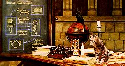 Animagus MagicVerse Role Play Wikia Fandom.