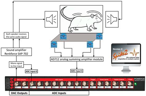 Animal Acoustic Startle Response System Manual – HBIO Behavior