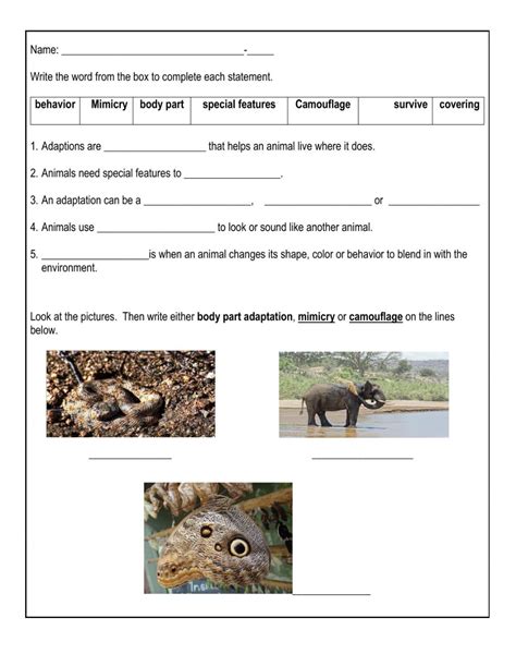 Animal Adaptation Interactive Worksheet