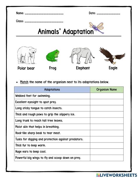 Animal Adaptation Sheet Worksheets Worksheets Library