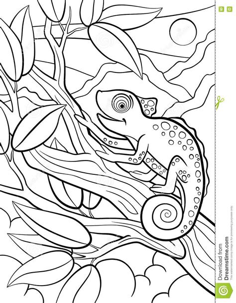 Animal Camouflage Coloring Page Get Coloring Pages